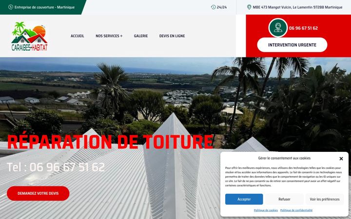 Screenshot of caraibes-habitat.fr