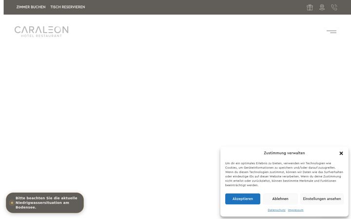 Screenshot ta' caraleon.de