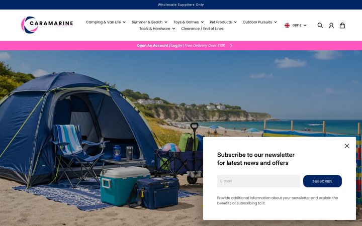 Screenshot of caramarine.com