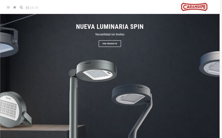 Screenshot of carandini.com