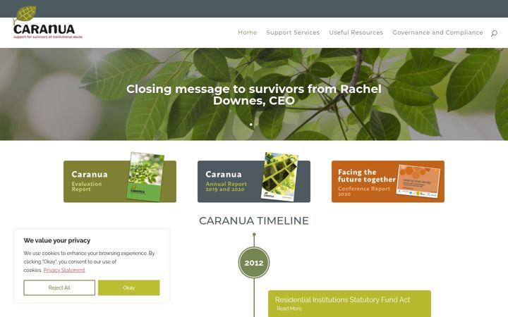 Screenshot of caranua.ie