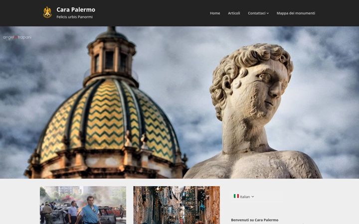 Screenshot of carapalermo.com