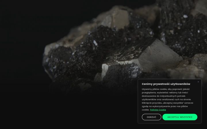 Screenshot of carbomedia.pl
