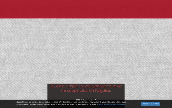 Screenshot of carburesestrie.com