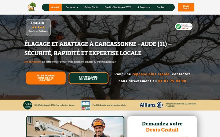 Screenshot of carcassonne-elagage.fr