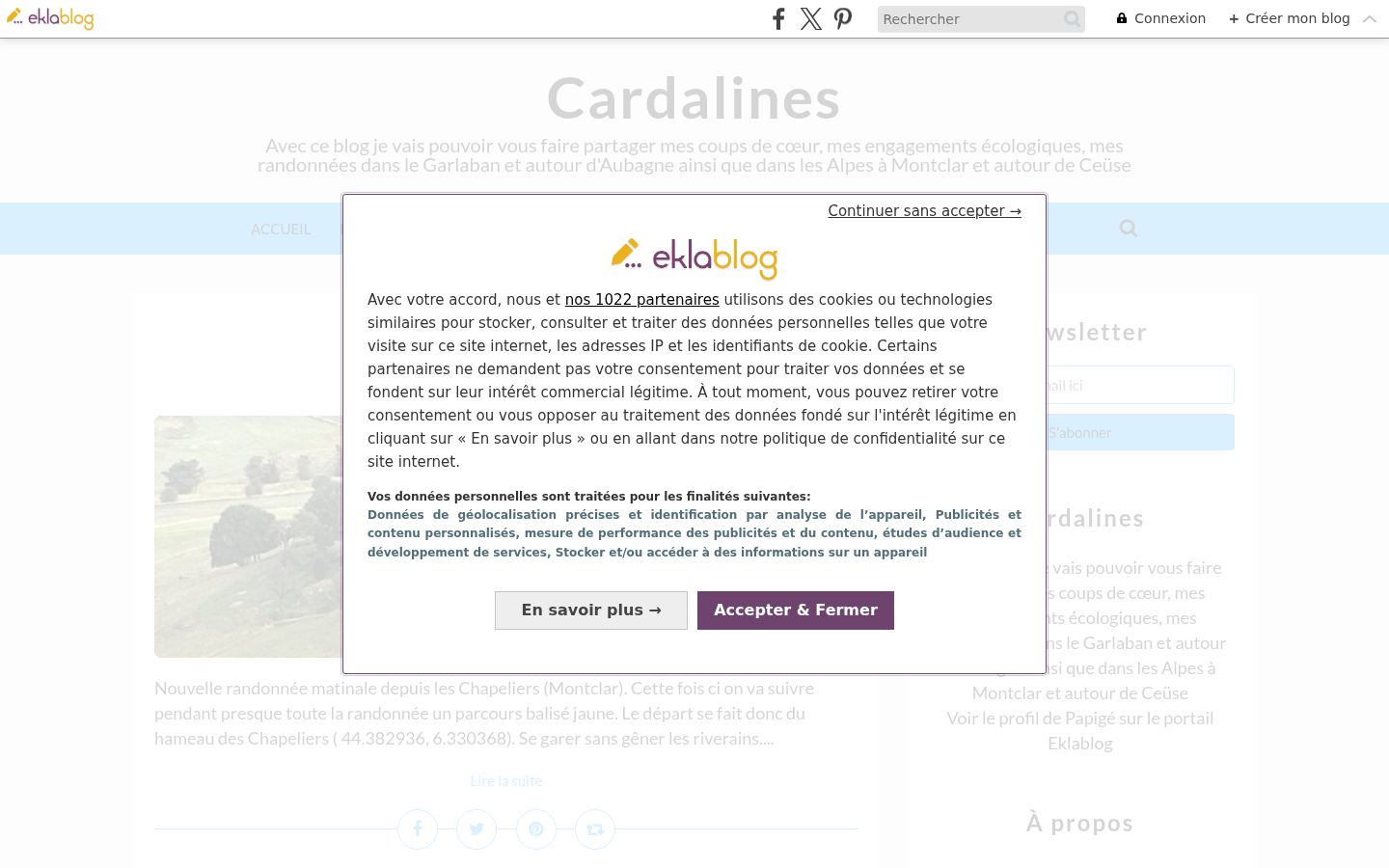 Captură de ecran a bannerului de consimțământ afișat înainte de orice interacțiune