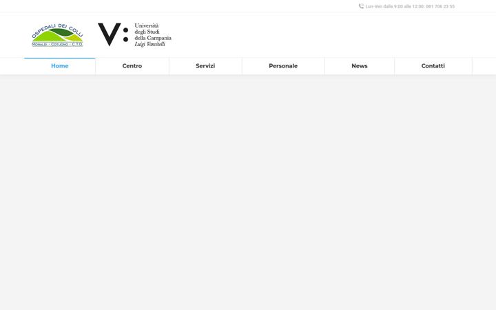 Képernyőkép: cardiologiavanvitelli.it