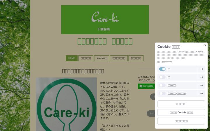 Screenshot of care-ki.com