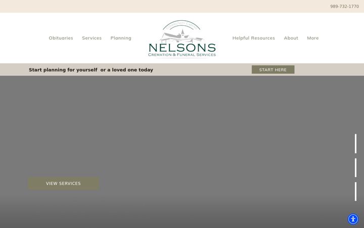 Screenshot of carebynelsons.com