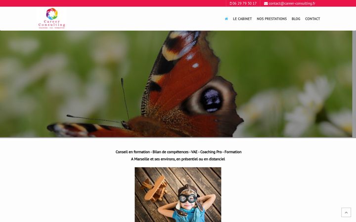 Screenshot of career-consulting.fr