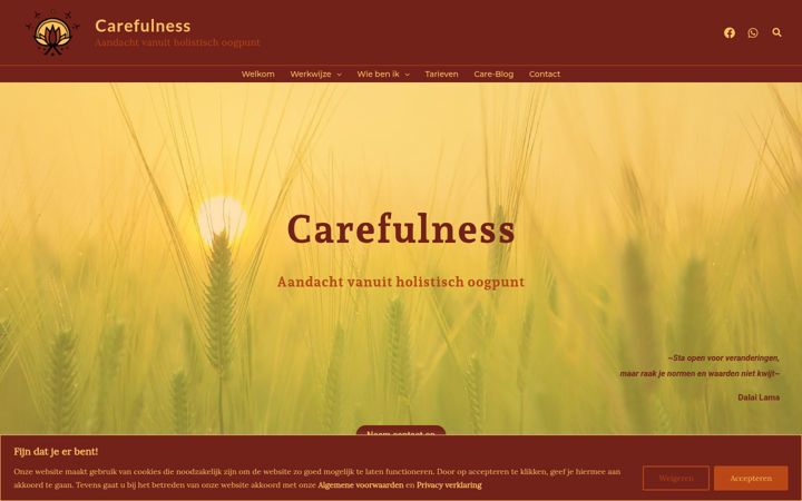 Screenshot ta' carefulness.nl
