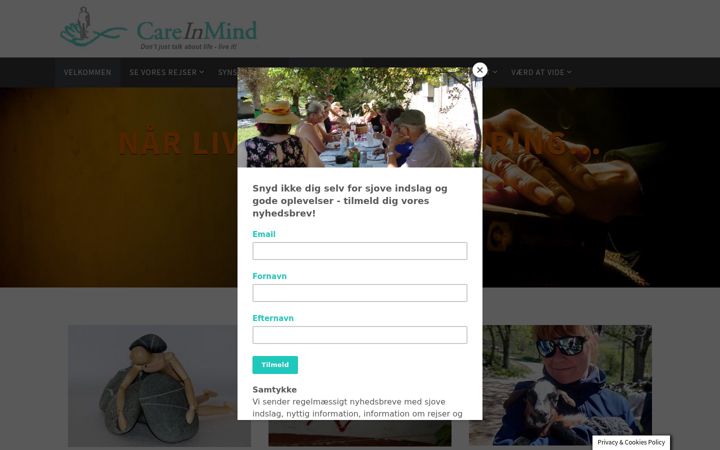 Screenshot of careinmind.dk