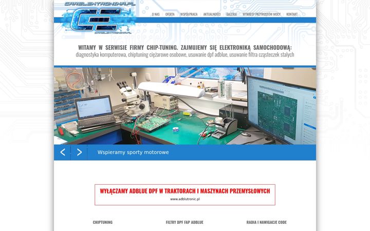 Screenshot di carelektronika.pl