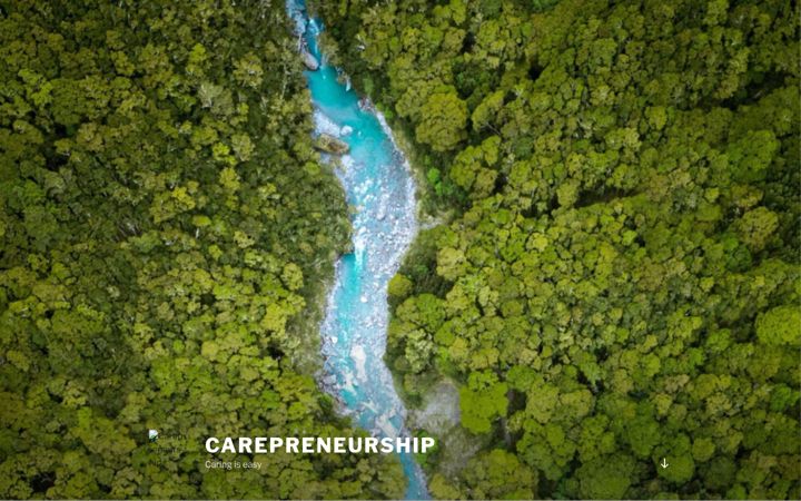 Screenshot of carepreneurship.com