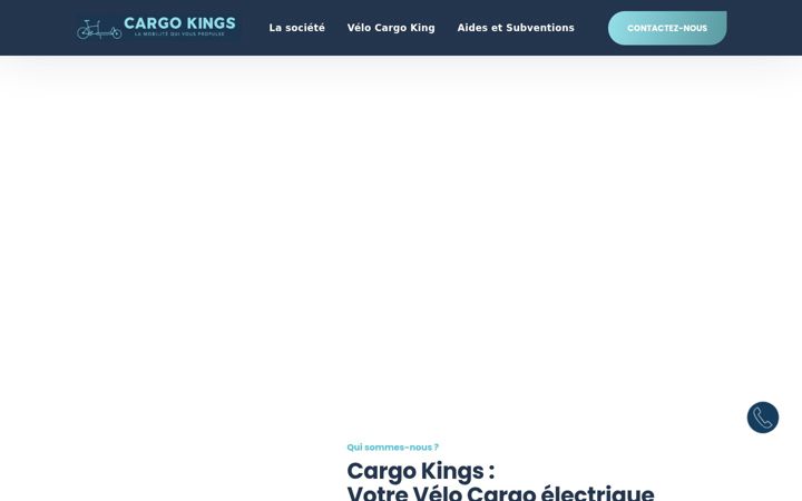 Screenshot of cargokings.fr