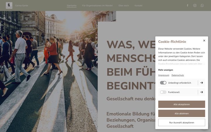 Screenshot of carinagante.de