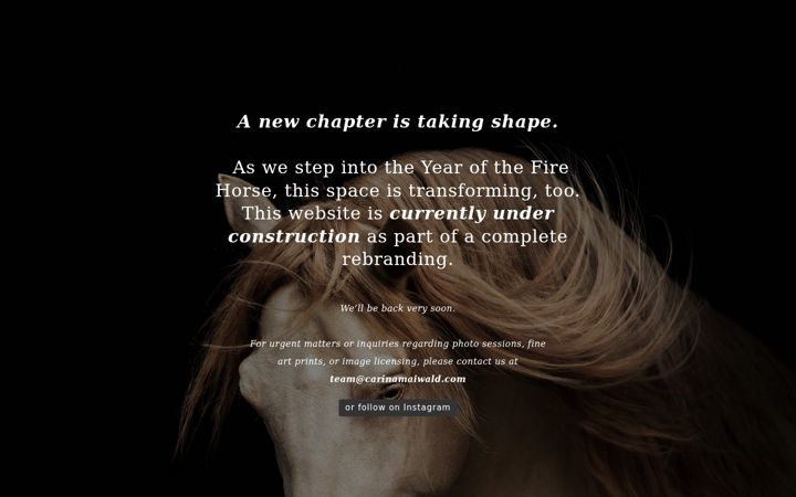 Screenshot of carinamaiwald.com