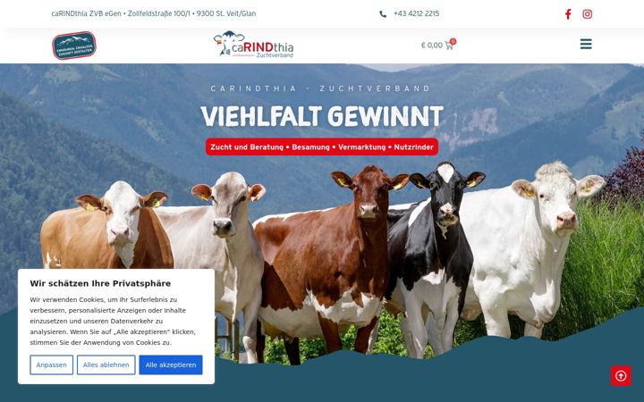 Screenshot of carindthia.at