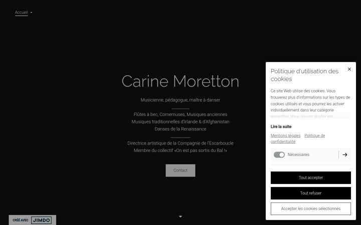 Screenshot of carinemoretton.com