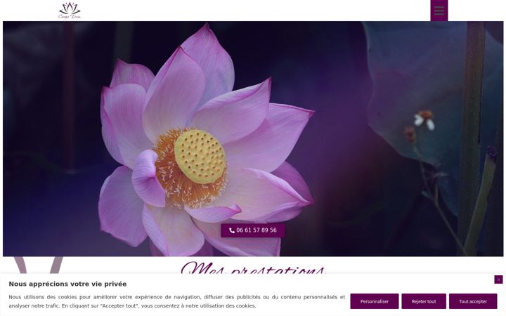 Screenshot of carinevilanova.fr