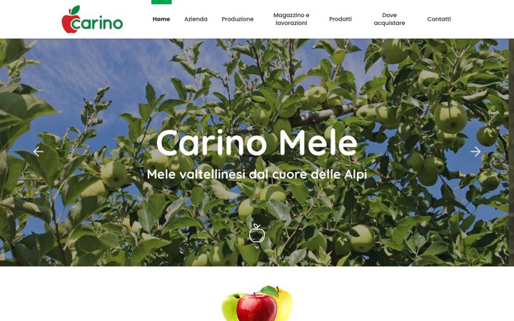 Ekrano kopija carinomele.it