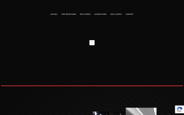 Screenshot of carinvest-labaule.fr