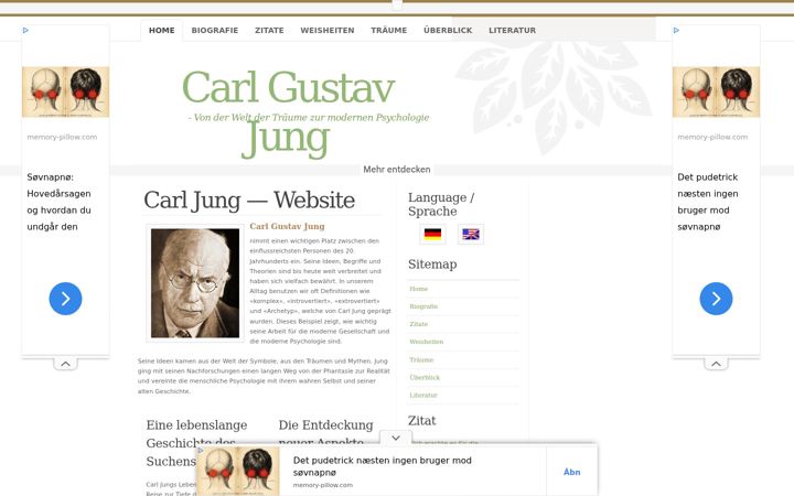 Screenshot of carl-g-jung.de