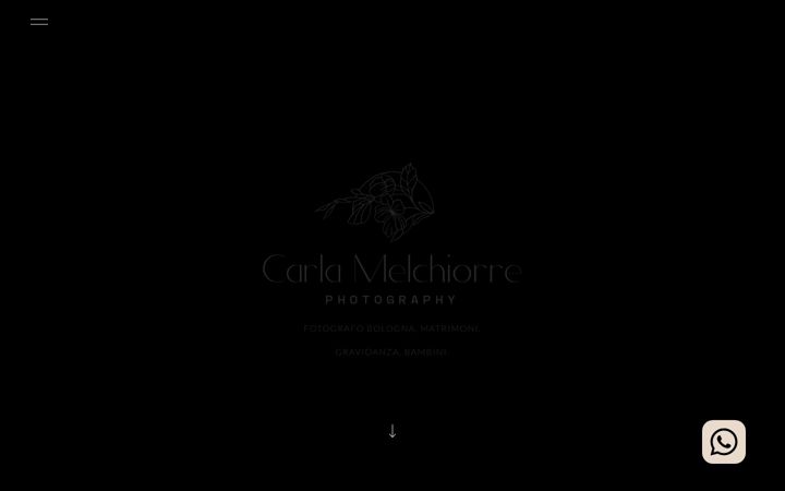 Screenshot of carlamelchiorrephoto.it