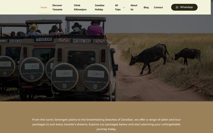 Screenshot of carlighttours.travel