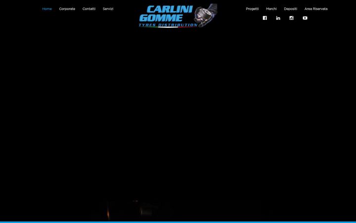 Screenshot of carlinigomme.com