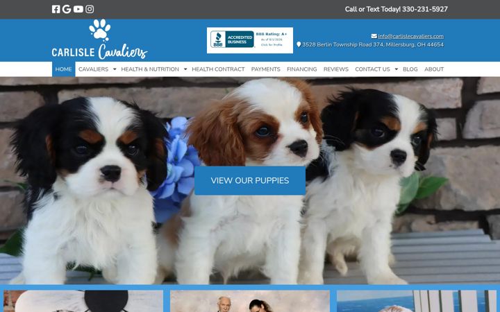 Screenshot of carlislecavaliers.com