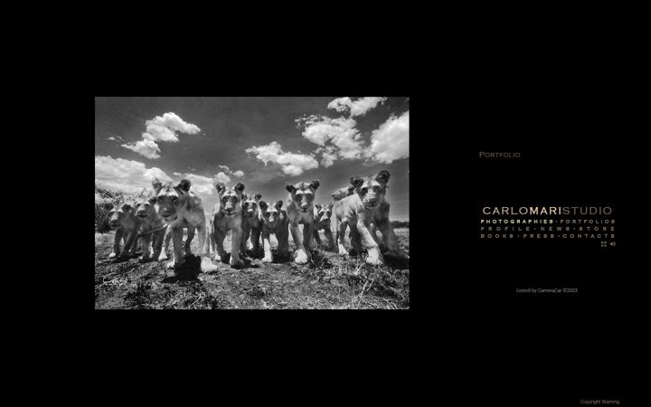 Screenshot of carlomaristudio.com