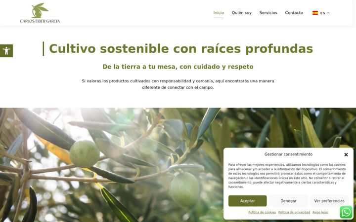 Screenshot of carloseider.com