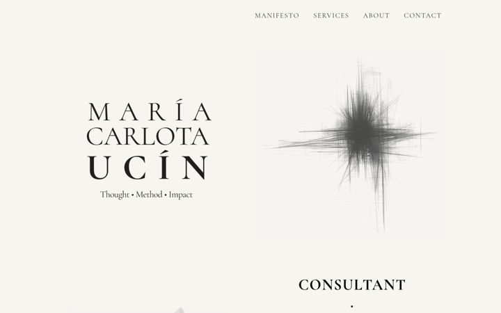 Screenshot of carlotaucin.com