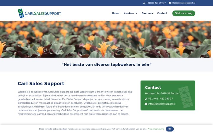 Screenshot of carlsalessupport.nl