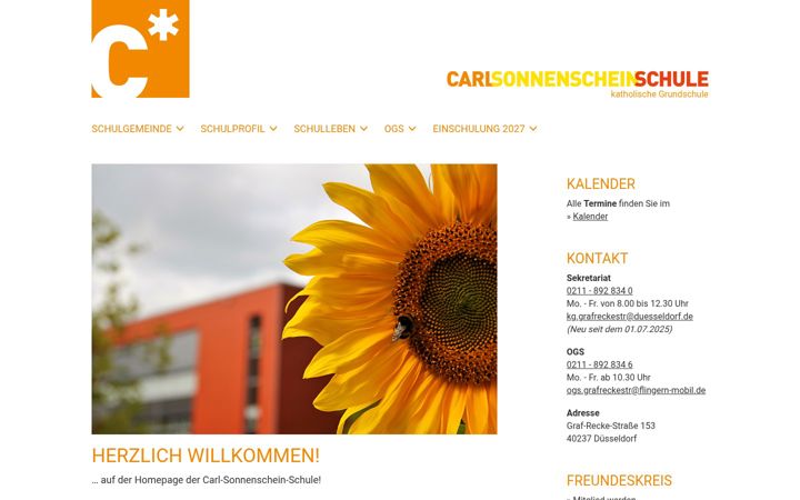 Screenshot of carlsonnenschein-schule.de