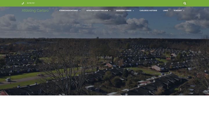 Screenshot of carlsro.dk