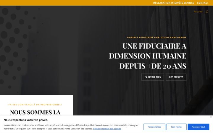 Screenshot of carluccio.net