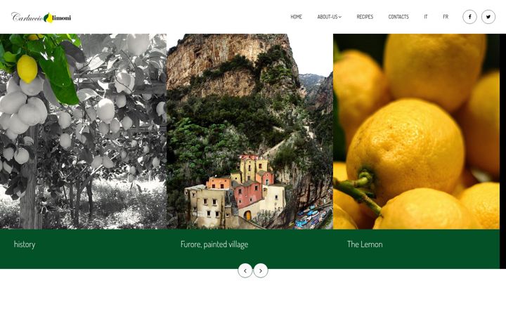 carlucciolimoni.it