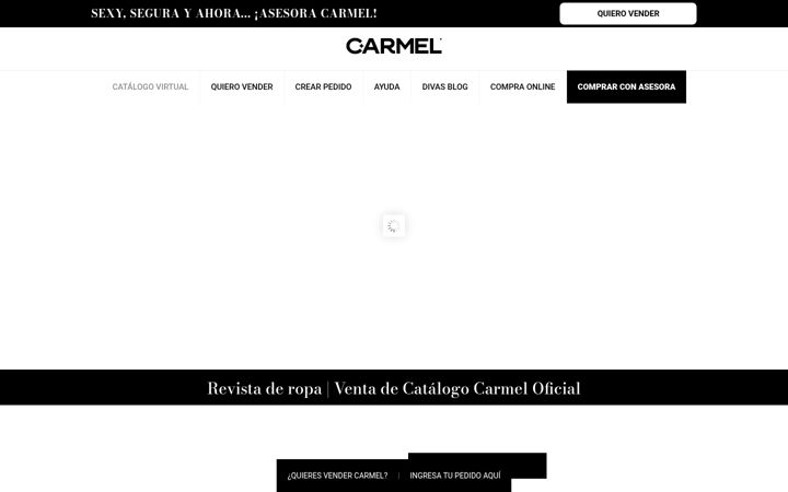 Screenshot of carmel.com.co