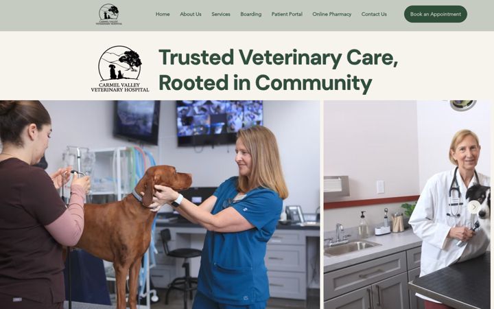 Screenshot of carmelvalleyvet.com