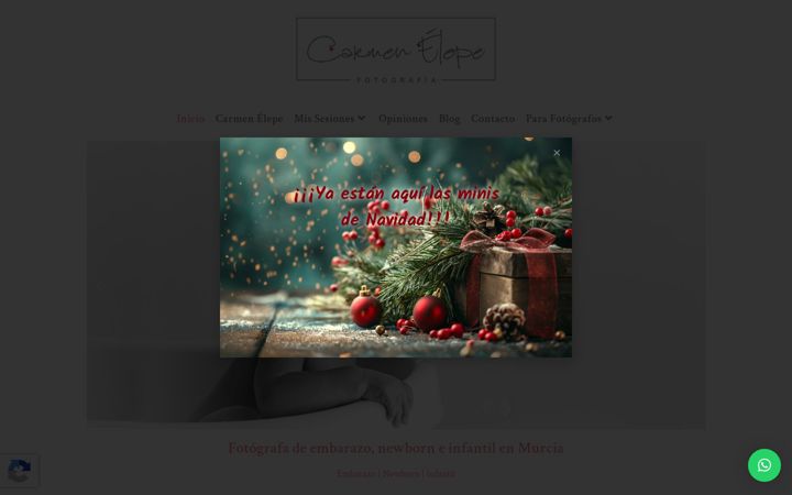 carmenelepe.com