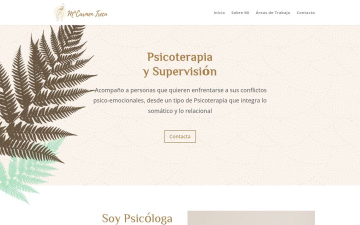 Screenshot of carmentrecu.com