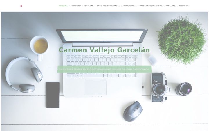 Screenshot of carmenvallejo.com