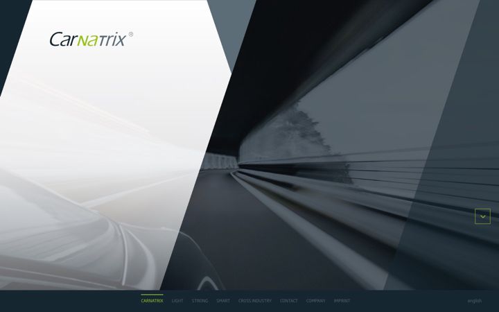 Screenshot of carnatrix.com
