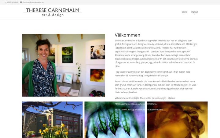 Screenshot of carnemalm.se