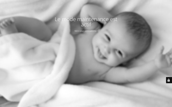 Screenshot του carnet-de-cigogne.fr