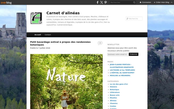 Screenshot of carnetdalineas.com