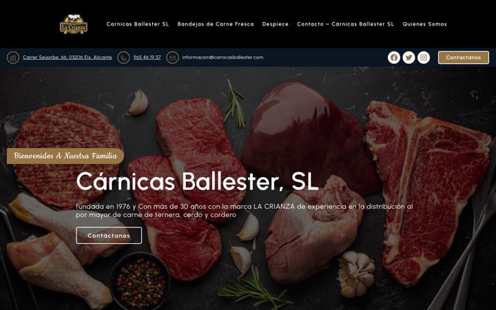 Screenshot of carnicasballester.es