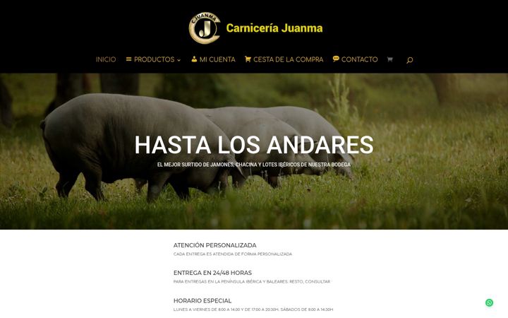 Screenshot of carniceriajuanma.com